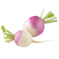 Turnip