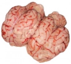 Mutton Brain