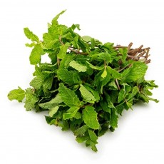 Mint Leaves