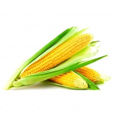 Corn