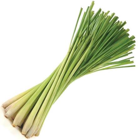 Lemon Grass 100 gm