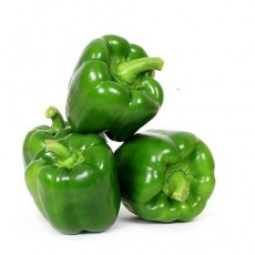 Capsicum