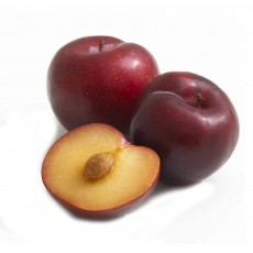 Plum