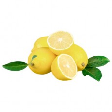 Lemon China