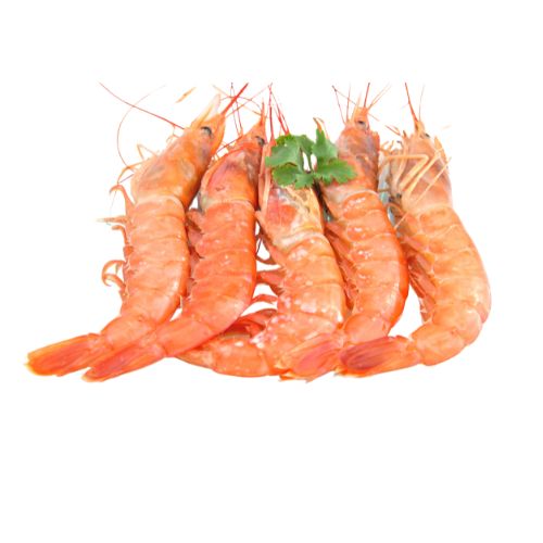 Jumbo Prawns