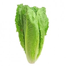 Romaine Lettuce 150g
