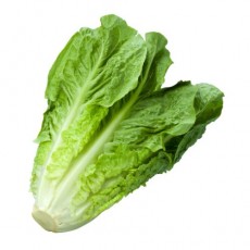 Lettuce Leaves